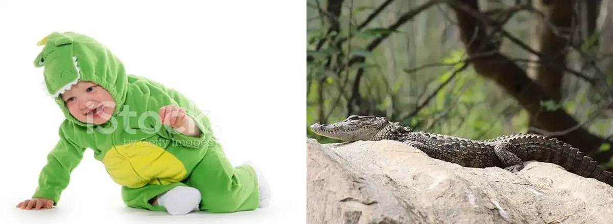 Anak kecil berkostum buaya dan bayi buaya