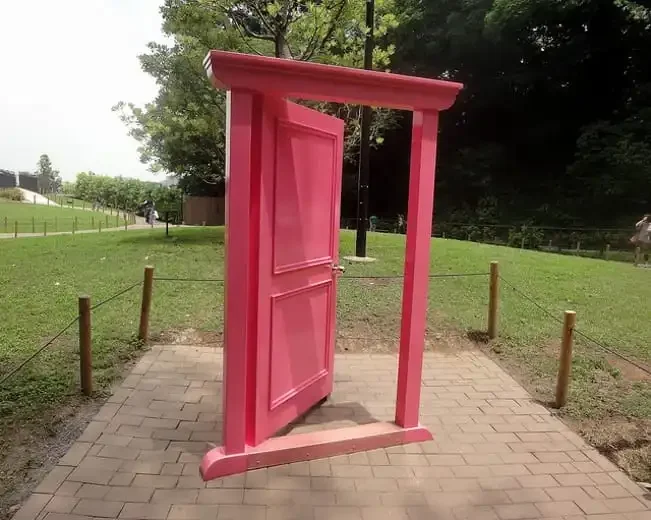 Pintu ke mana saja