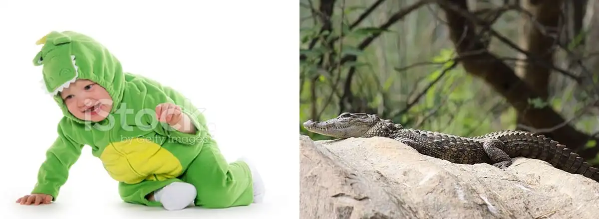Anak kecil berkostum buaya dan bayi buaya