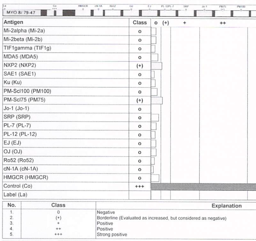 Hasil panel IIM